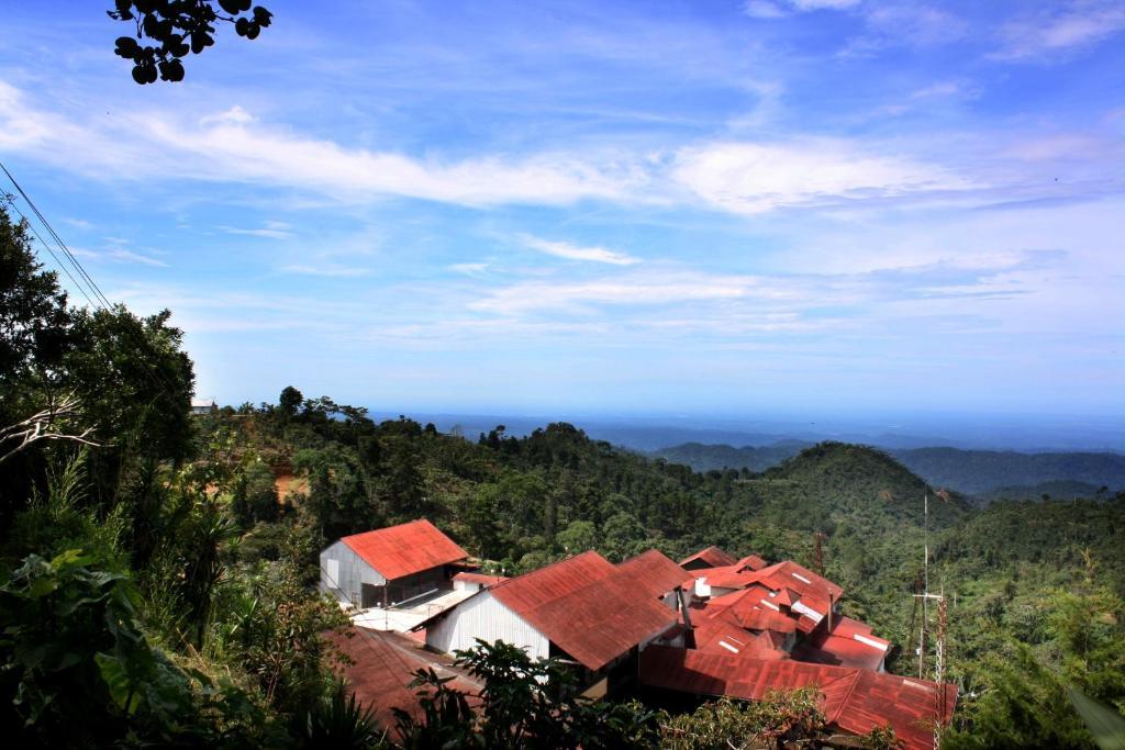 Finca Hamburgo La Ruta Del Cafe Tuzantan Eksteriør billede